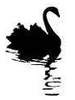 Black Swan Image